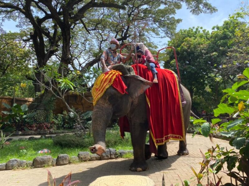 Wahana tunggang gajah, salah satu andalan atraksi hiburan di Kebun Binatang Surabaya