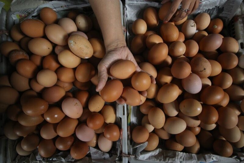 Ilustrasi kios telur di pasar (Foto: Antara)