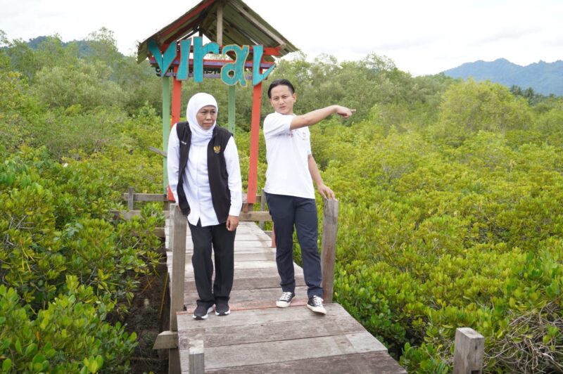 Gubernur Jawa Timur, Khofifah Indar Parawansa bersama Bupati Trenggalek saat meninjau budidaya mangrove di Hutan Mangrove Pancer Cengkrong, Kabupaten Trenggalek, Jumat (17/2/2023). (Foto: Kominfo Jatim)