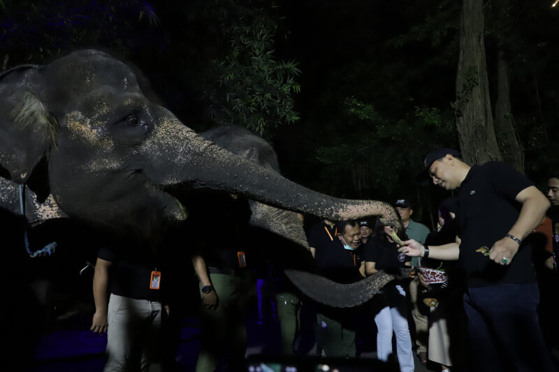 Wali Kota Eri Cahyadi berkeliling menikmati trial opening Surabaya Night Zoo (Foto: Diskominfo Surabaya)
