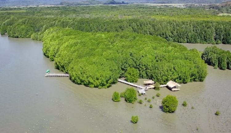 Foto.DOK WARGA Pemandangan udara Kawasan Mangrove Nanga Rosok Terang yang terletak di Desa Golo Sepang Kecamatan Boleng Kabupaten Manggarai Barat NTT.